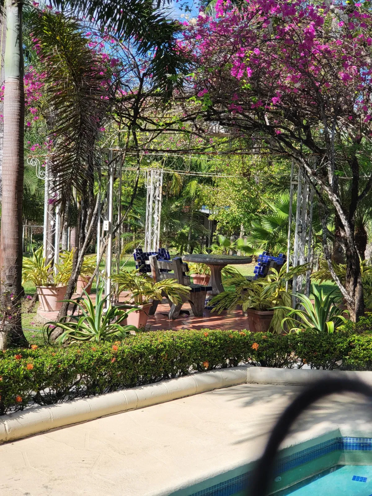 Se Vende Casa con plantación en Nueva Gorgona, Chame