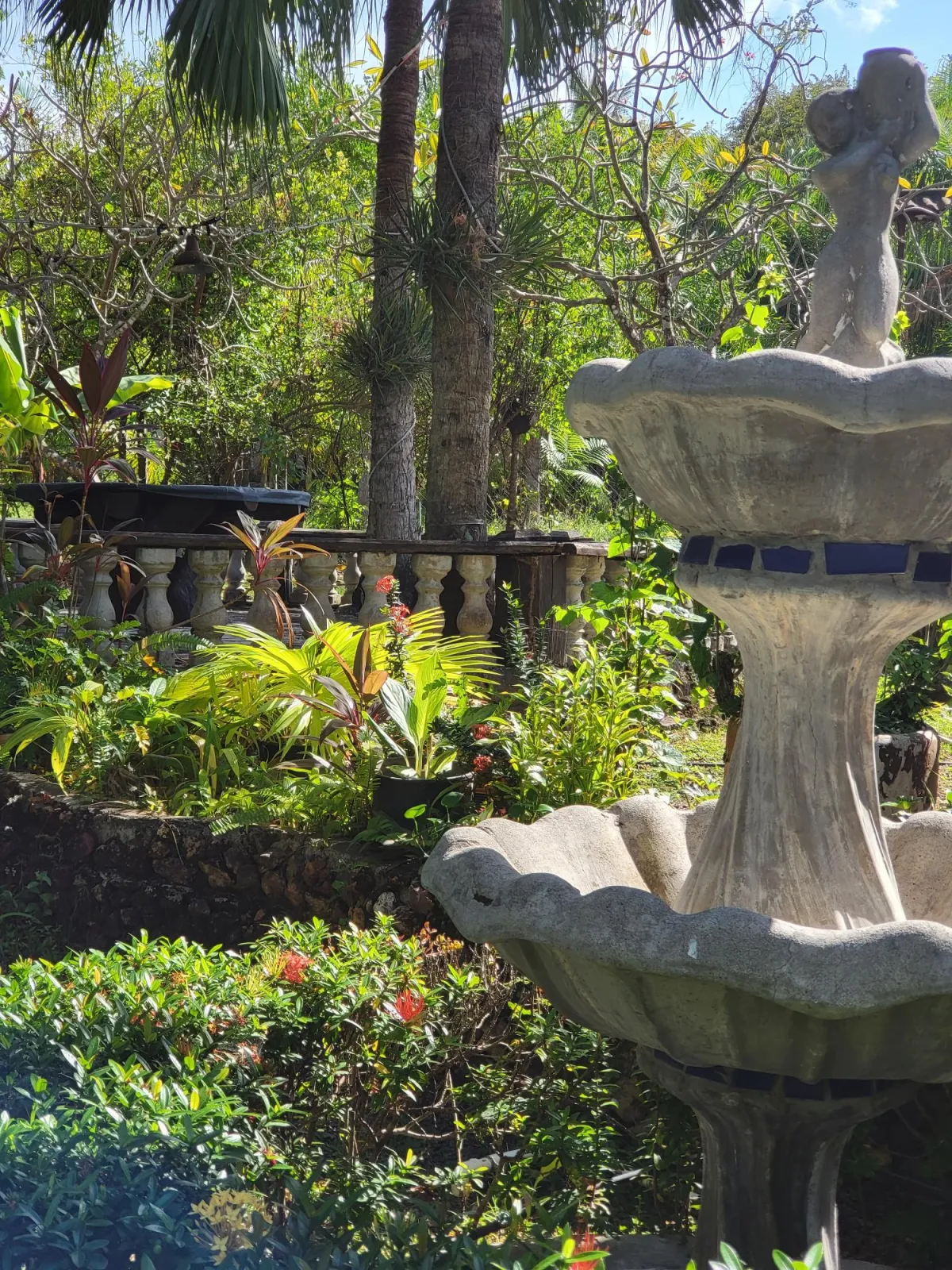 Se Vende Casa con plantación en Nueva Gorgona, Chame