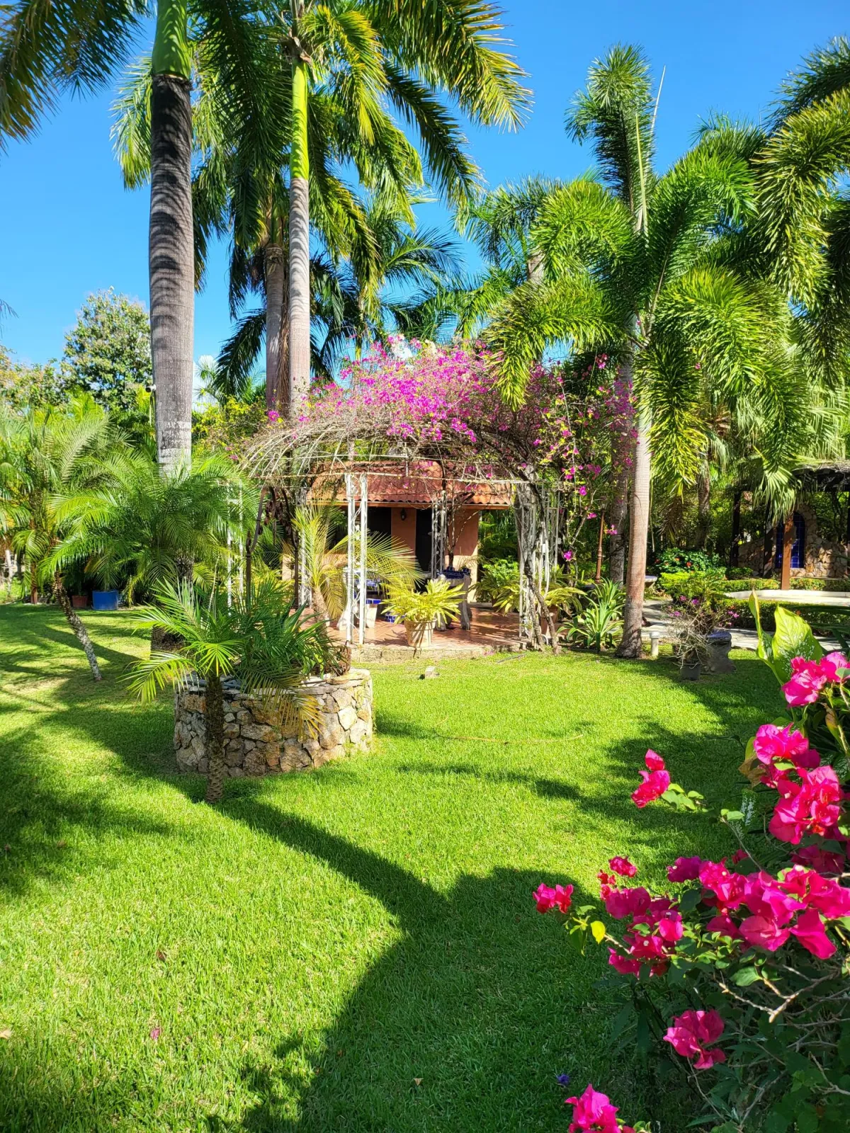 Se Vende Casa con plantación en Nueva Gorgona, Chame