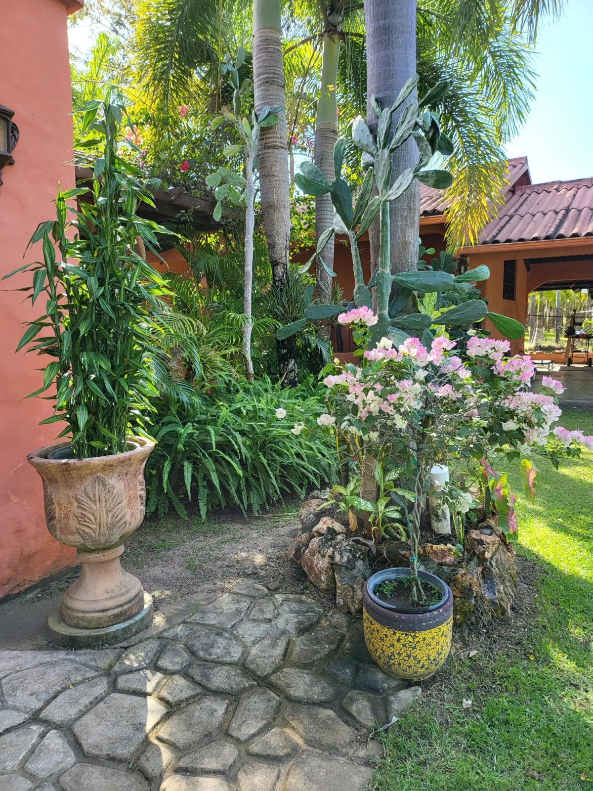 Se Vende Casa con plantación en Nueva Gorgona, Chame