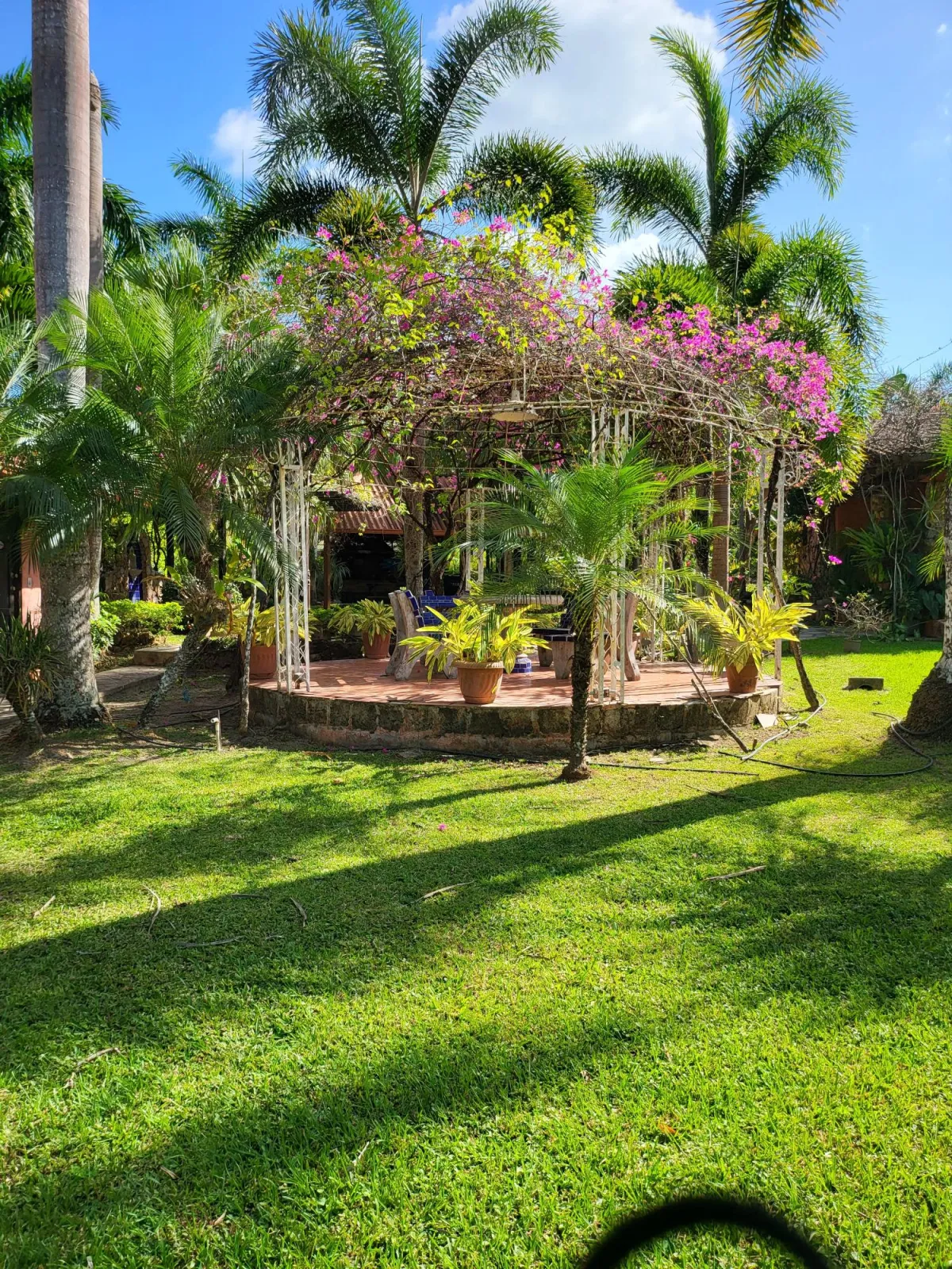 Se Vende Casa con plantación en Nueva Gorgona, Chame