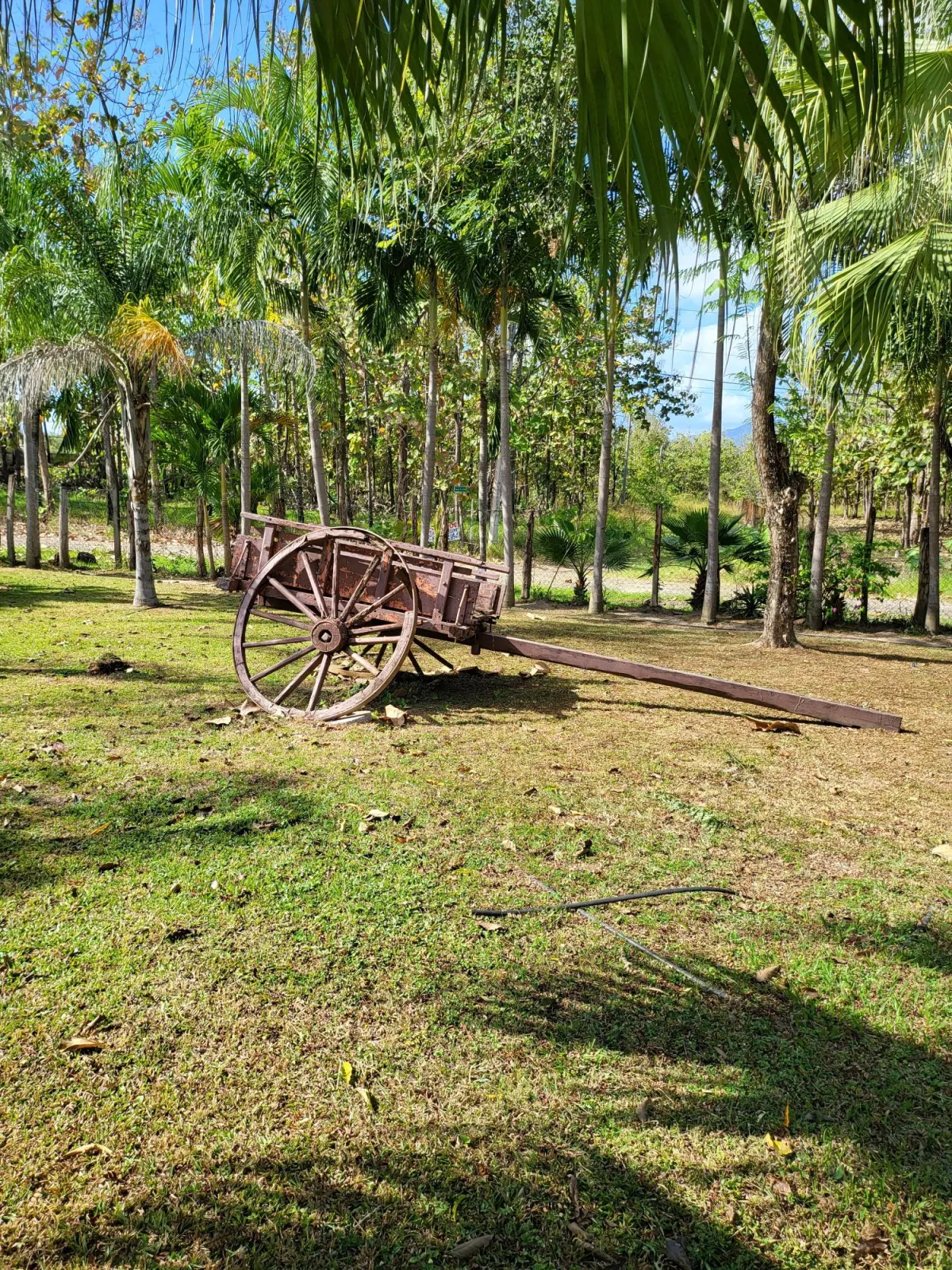 Se Vende Casa con plantación en Nueva Gorgona, Chame