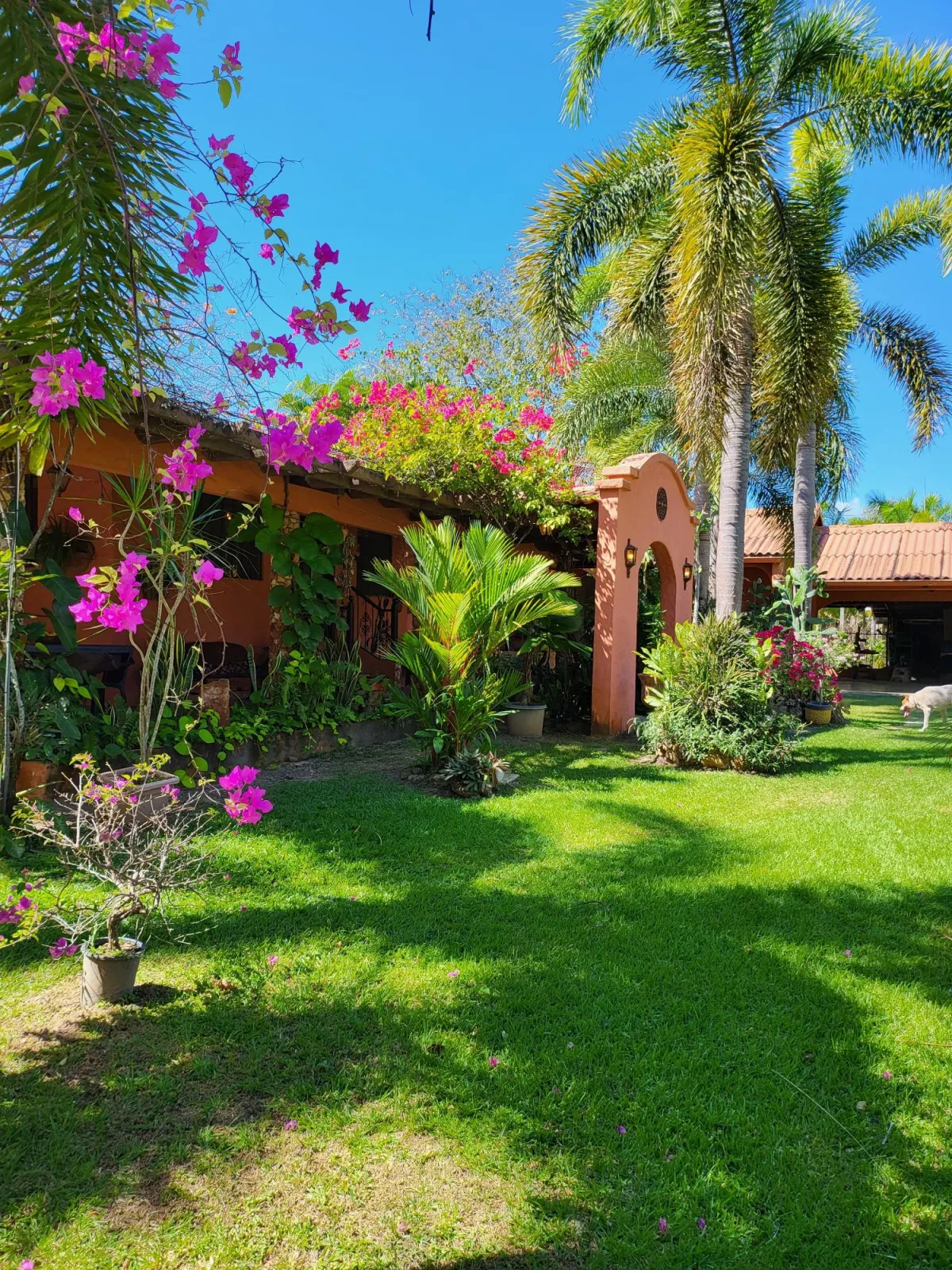 Se Vende Casa con plantación en Nueva Gorgona, Chame