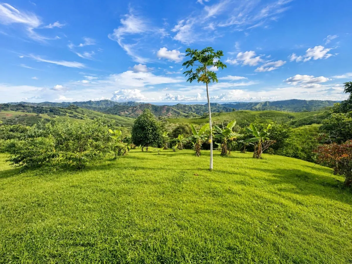 1 Hectare Mountain Property in Nuario, Los Santos