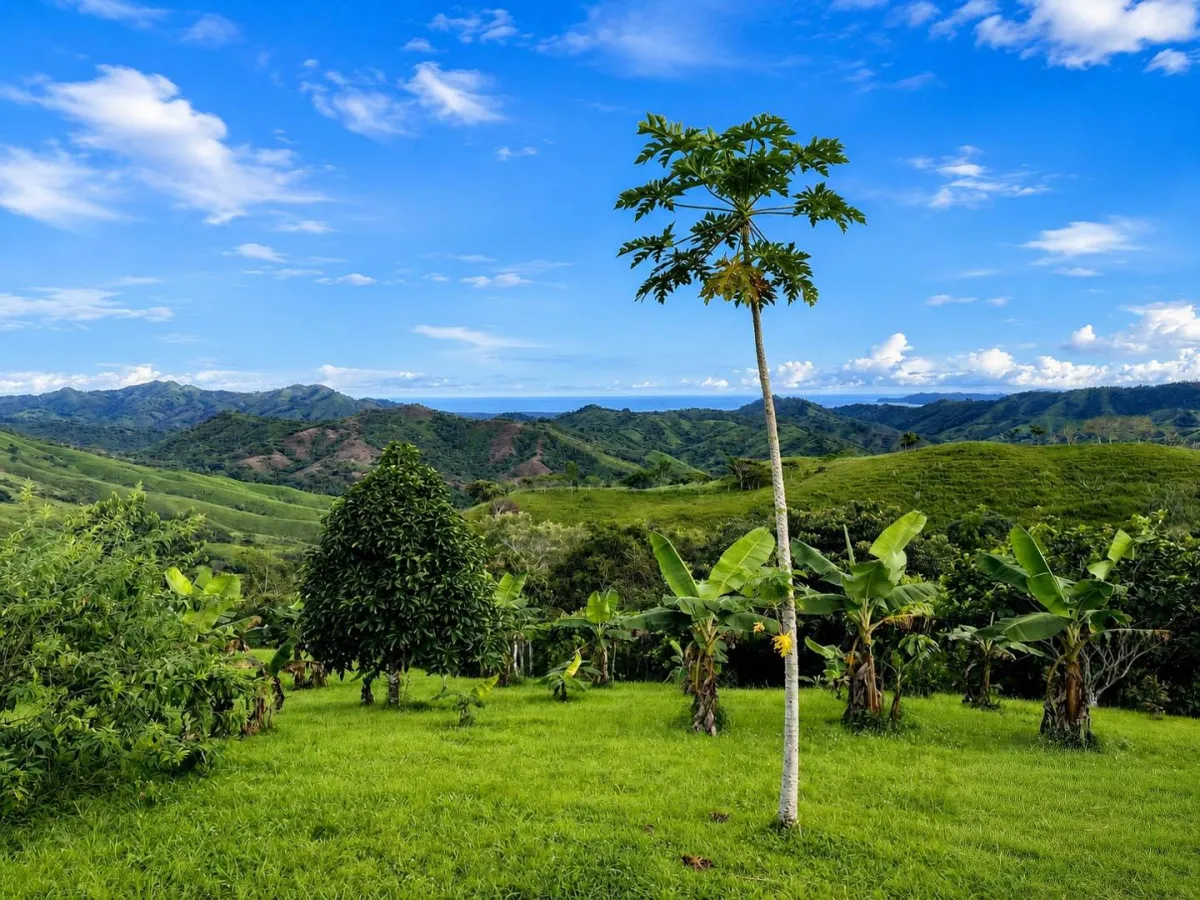 1 Hectare Mountain Property in Nuario, Los Santos