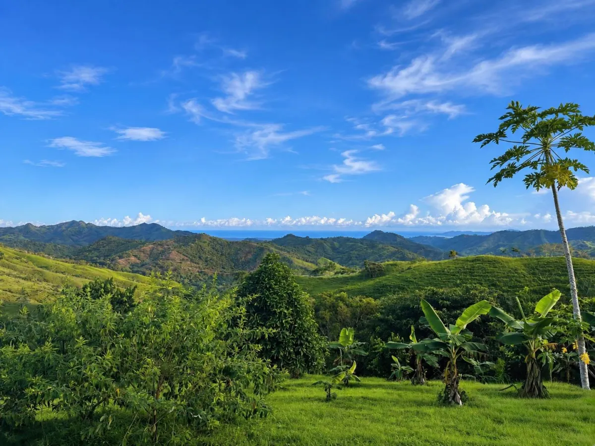 1 Hectare Mountain Property in Nuario, Los Santos