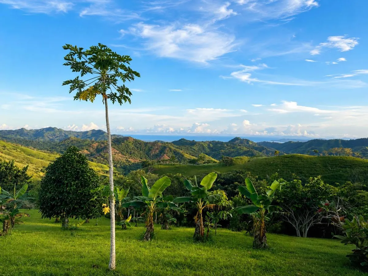 1 Hectare Mountain Property in Nuario, Los Santos