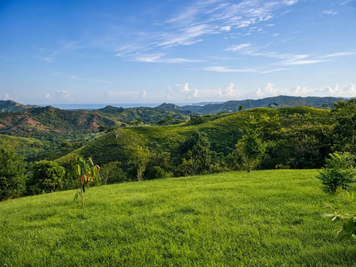 1 Hectare Mountain Property in Nuario, Los Santos