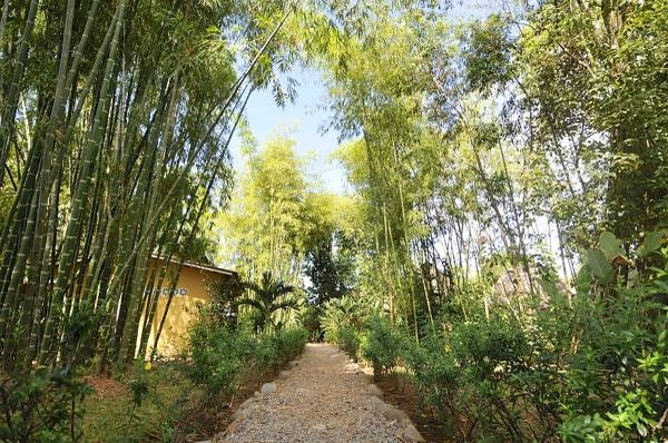 有利可图的，并建立了餐厅和B&B旅游拉斯拉哈斯