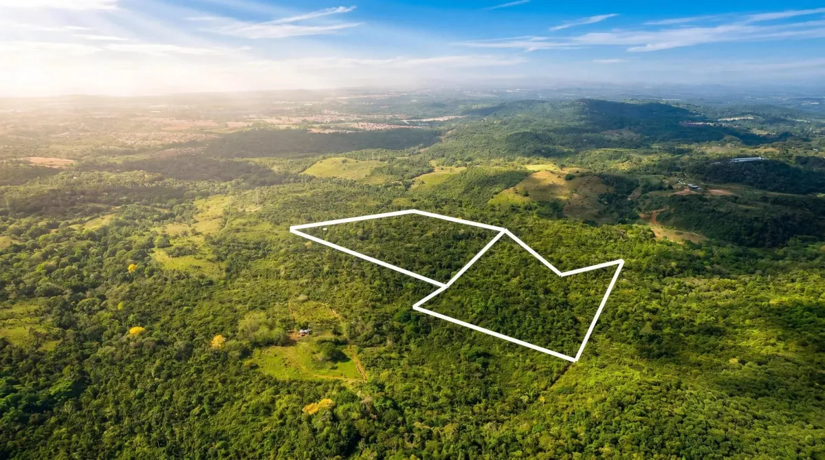 9.4h Land Parcel for Sale in Central Arraijan