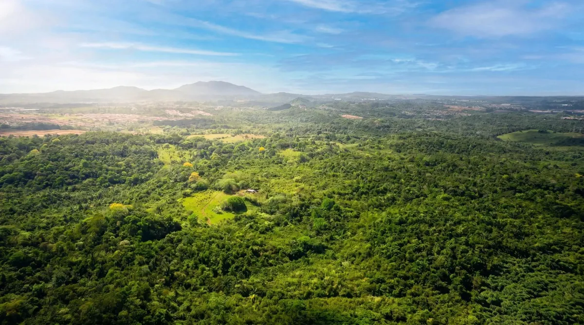 9.4h Land Parcel for Sale in Central Arraijan