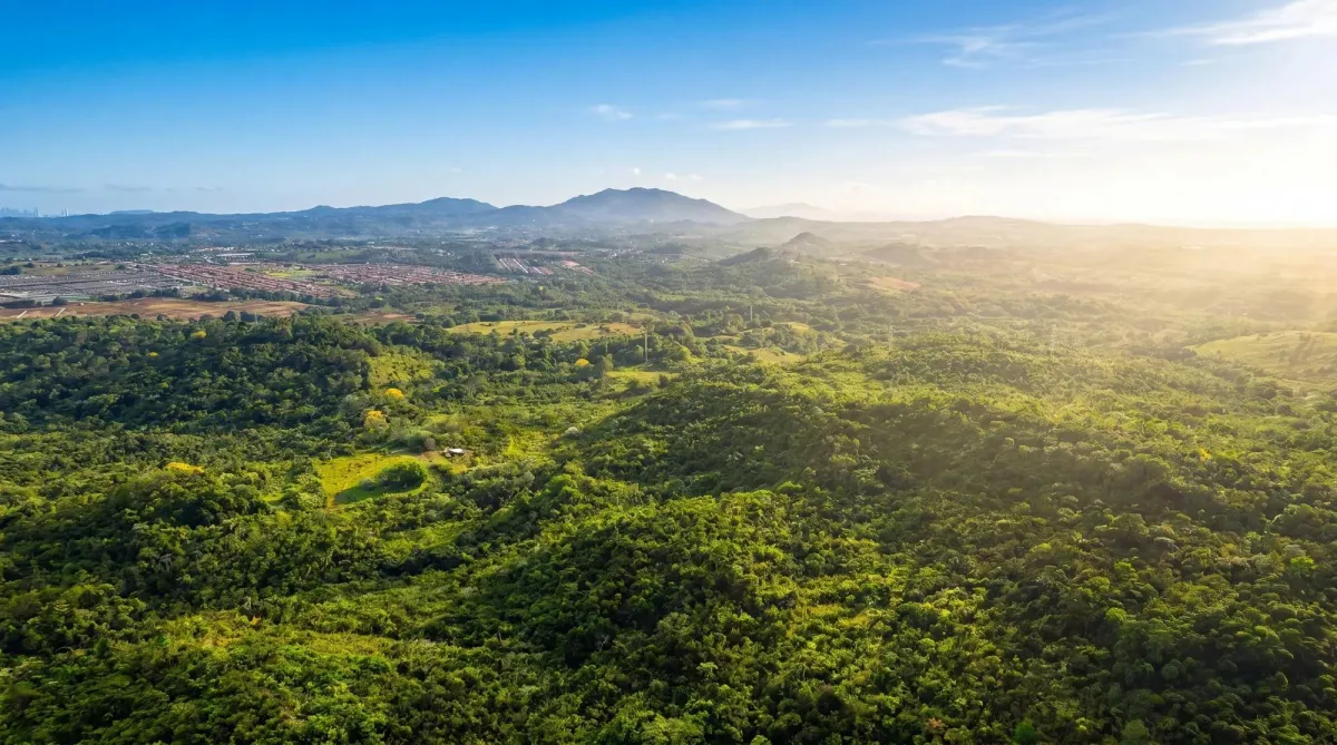 9.4h Land Parcel for Sale in Central Arraijan