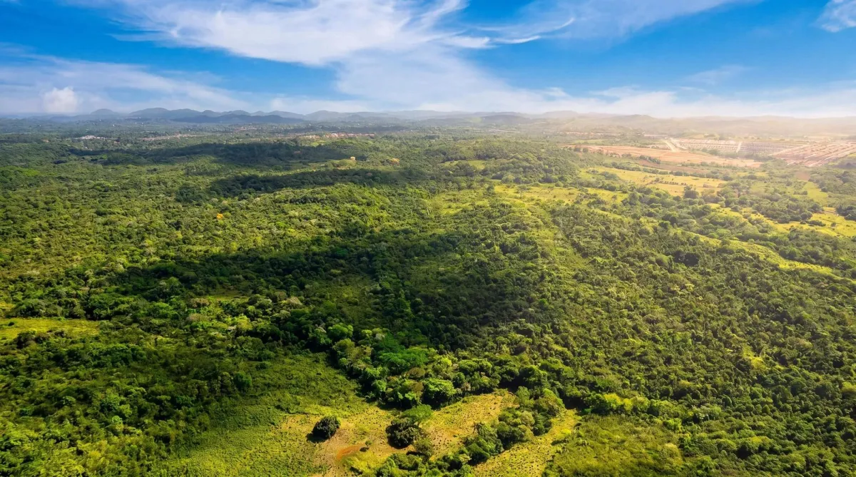 9.4h Land Parcel for Sale in Central Arraijan