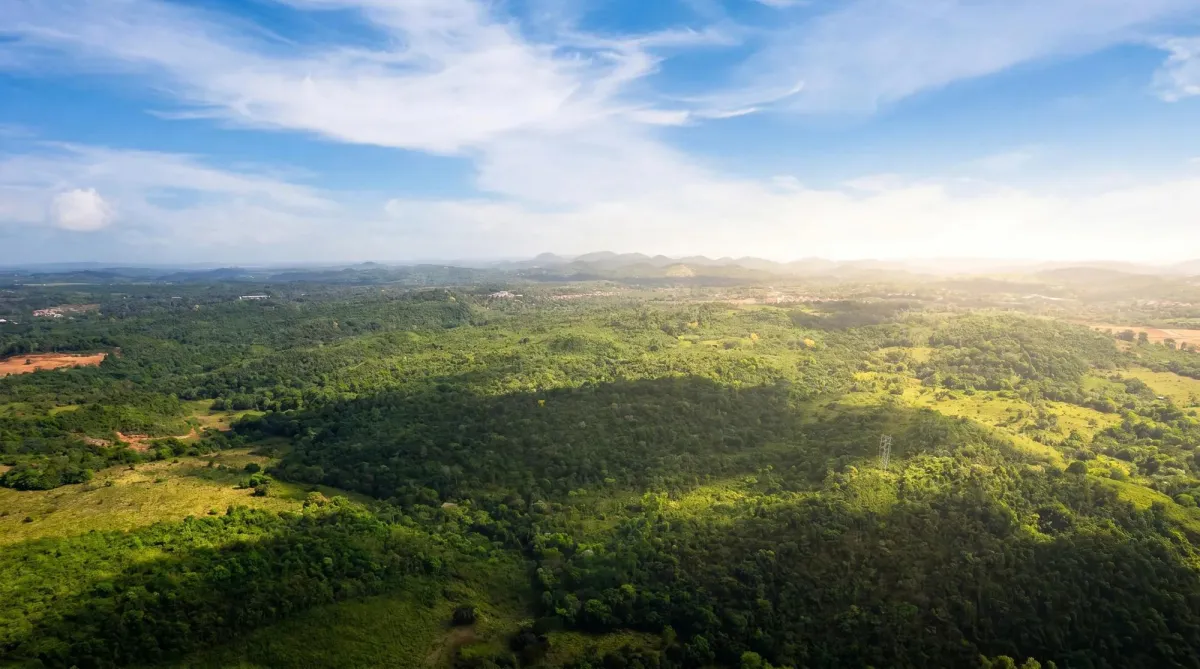 9.4h Land Parcel for Sale in Central Arraijan