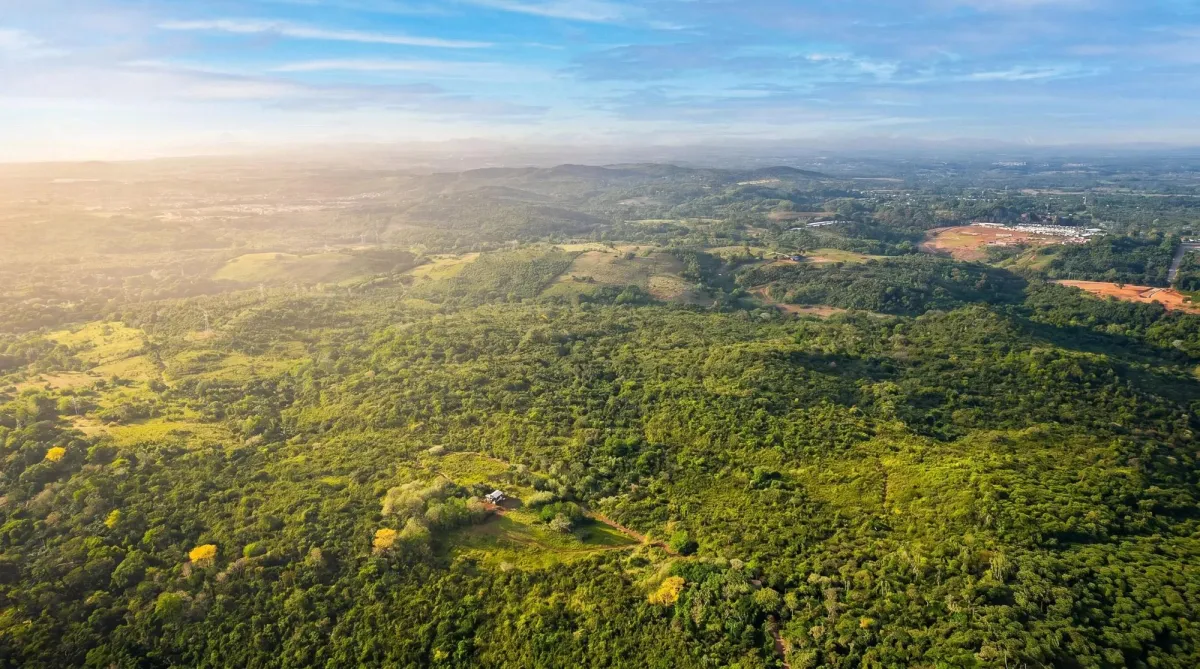9.4h Land Parcel for Sale in Central Arraijan