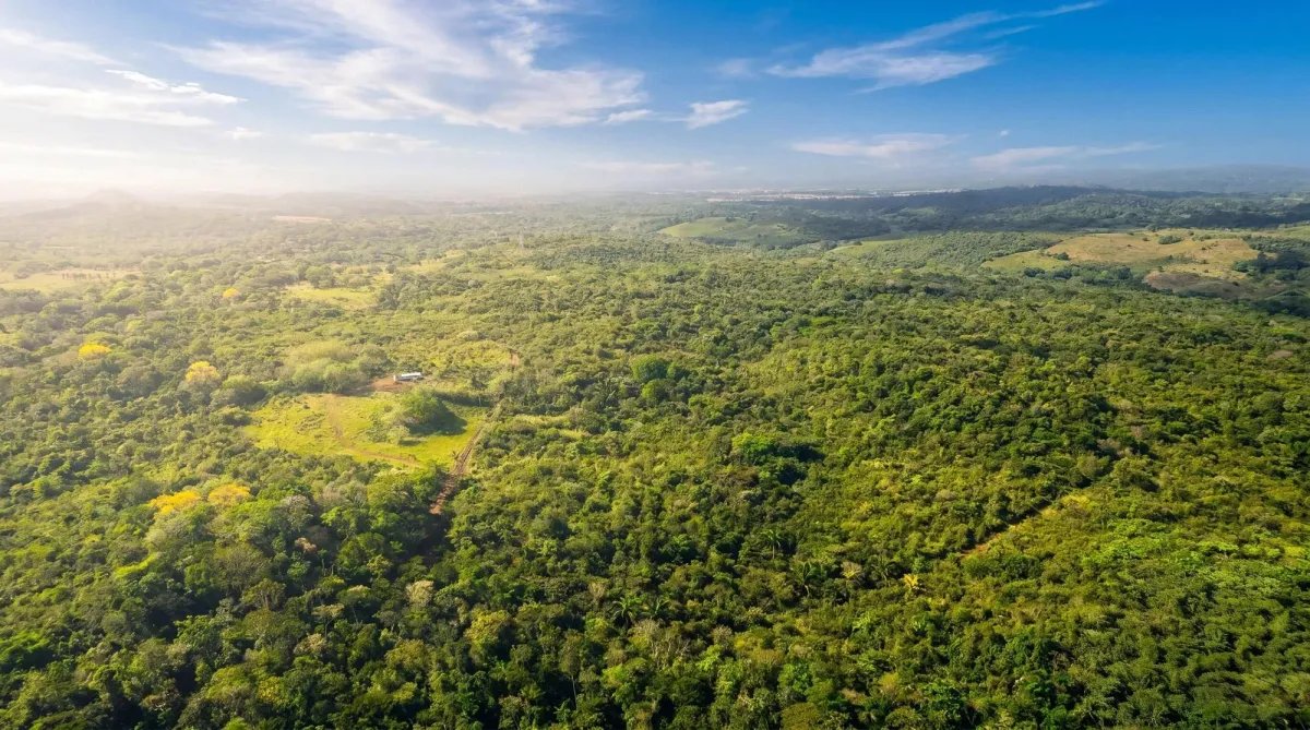 9.4h Land Parcel for Sale in Central Arraijan