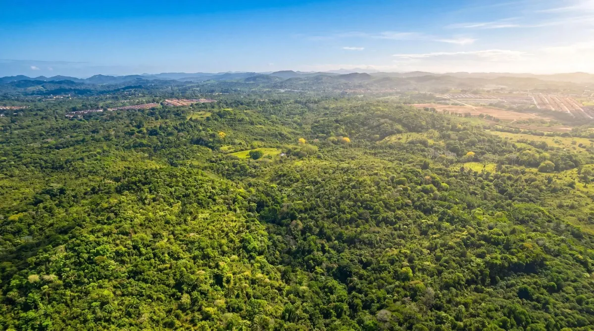 9.4h Land Parcel for Sale in Central Arraijan
