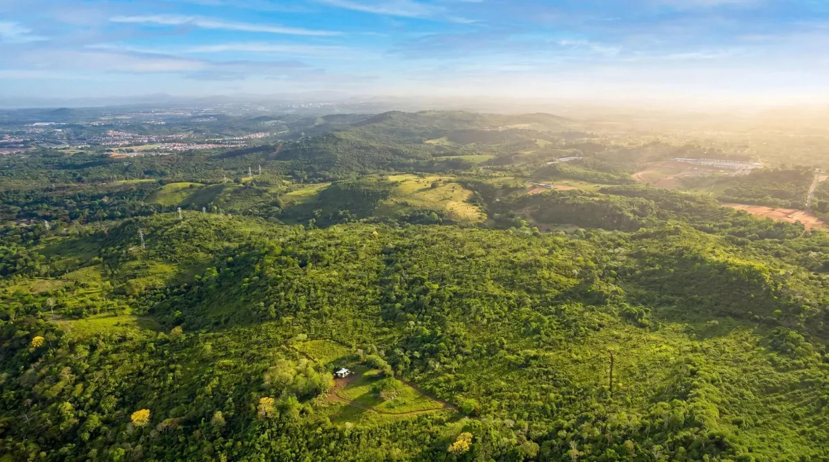 9.4h Land Parcel for Sale in Central Arraijan