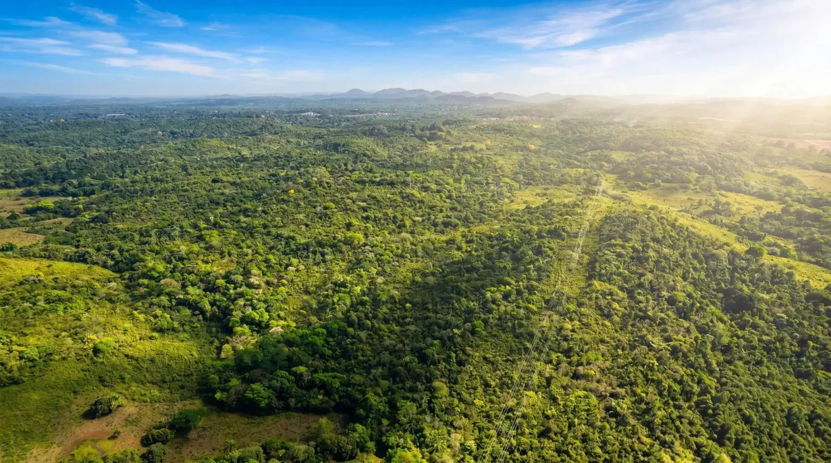 9.4h Land Parcel for Sale in Central Arraijan
