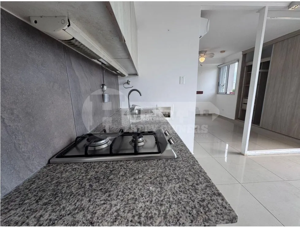 Sale of Apartment in PH Delavista, San Francisco