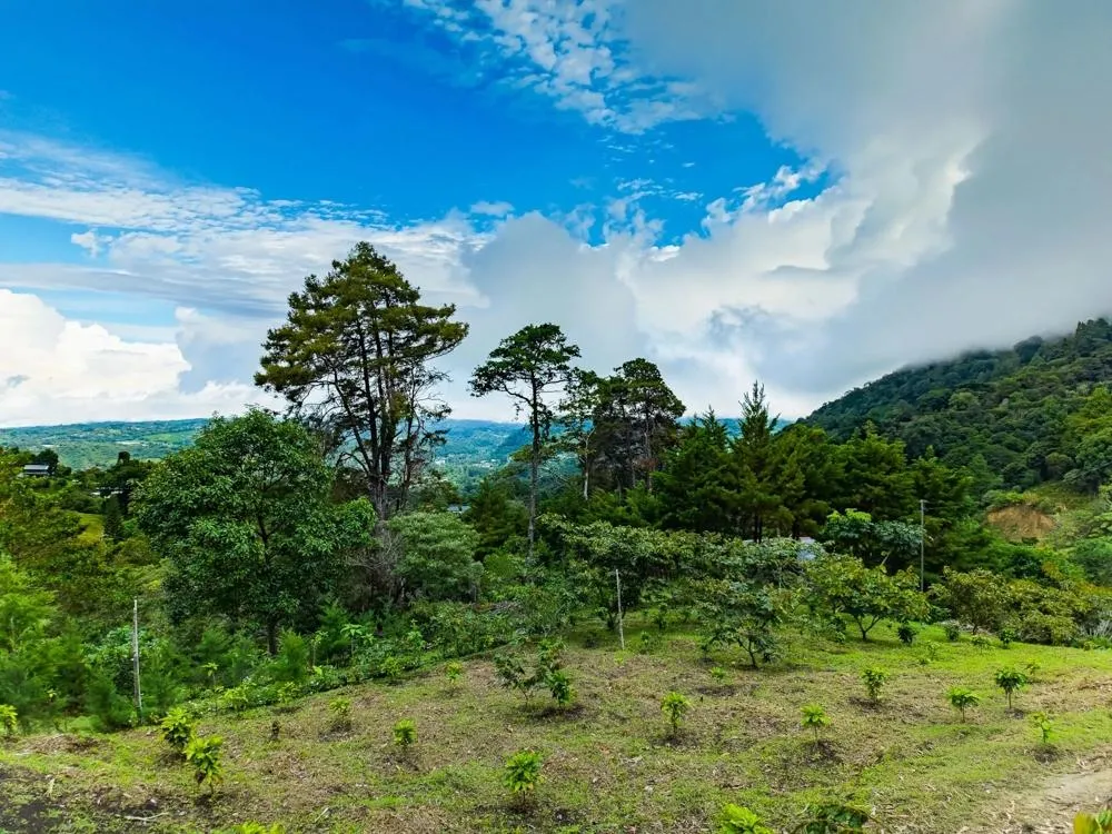 Terrain à bâtir à Boquete à vendre