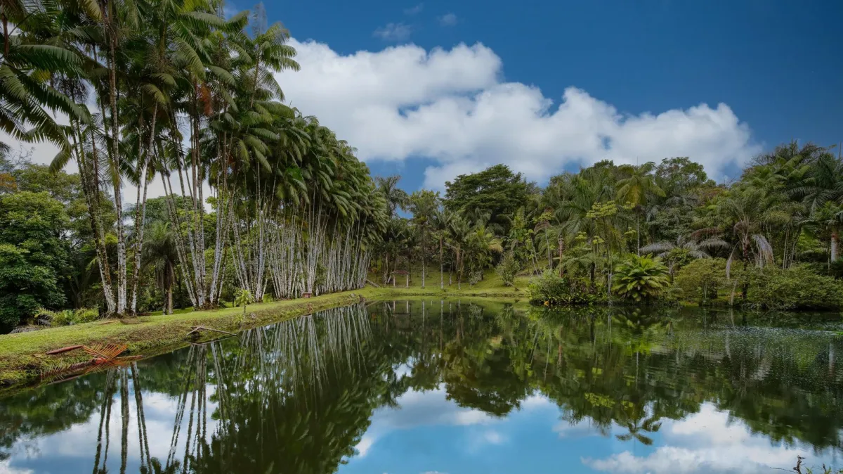 Finca residencial de 3,69 hectáreas con lagos, río y bosque.