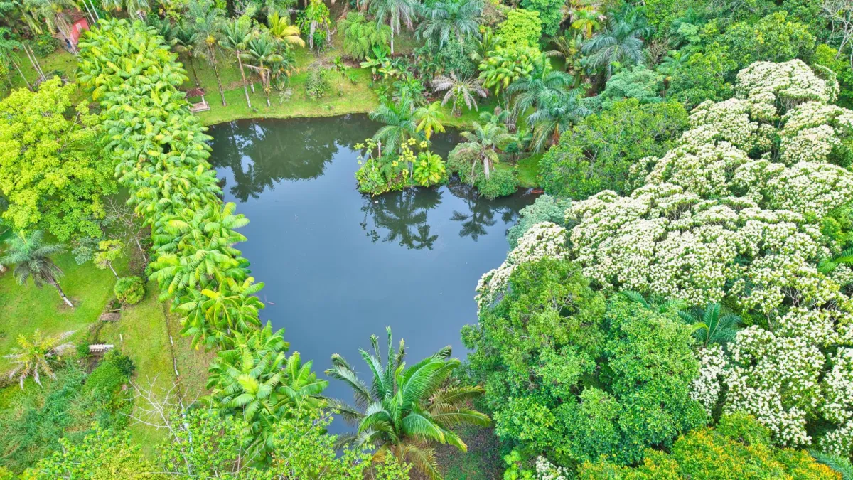 Finca residencial de 3,69 hectáreas con lagos, río y bosque.