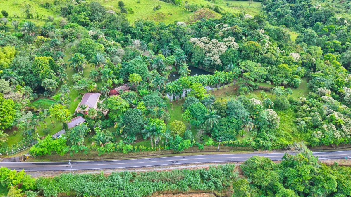 Finca residencial de 3,69 hectáreas con lagos, río y bosque.