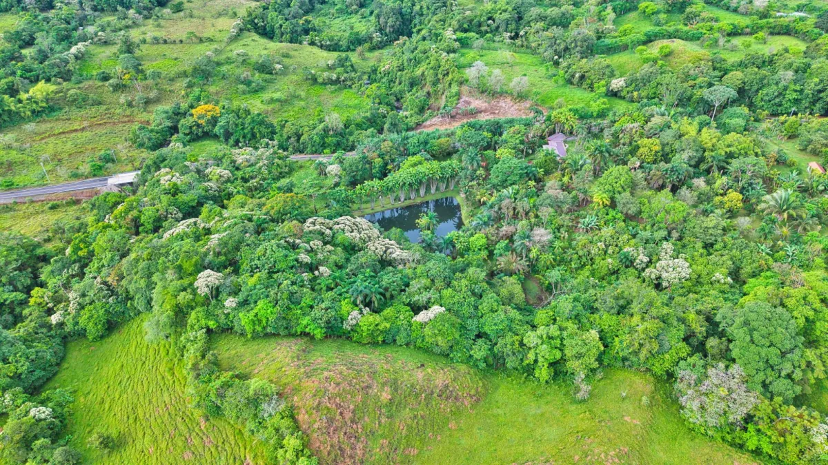 Finca residencial de 3,69 hectáreas con lagos, río y bosque.
