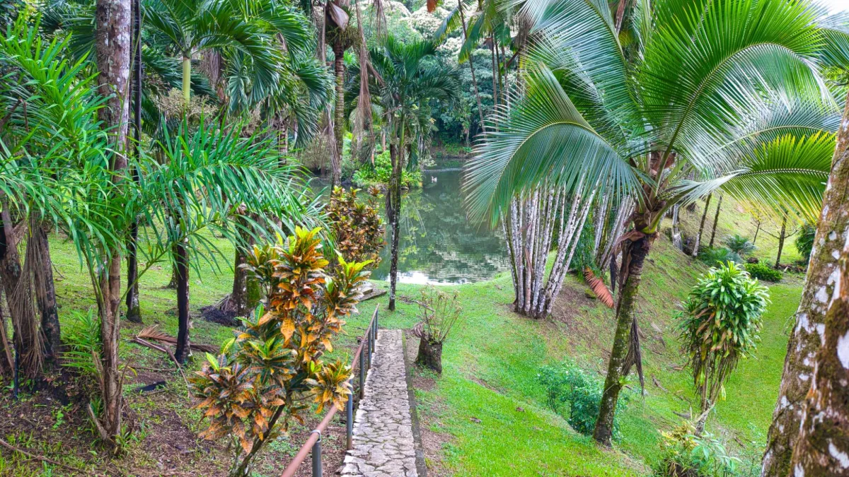 Finca residencial de 3,69 hectáreas con lagos, río y bosque.