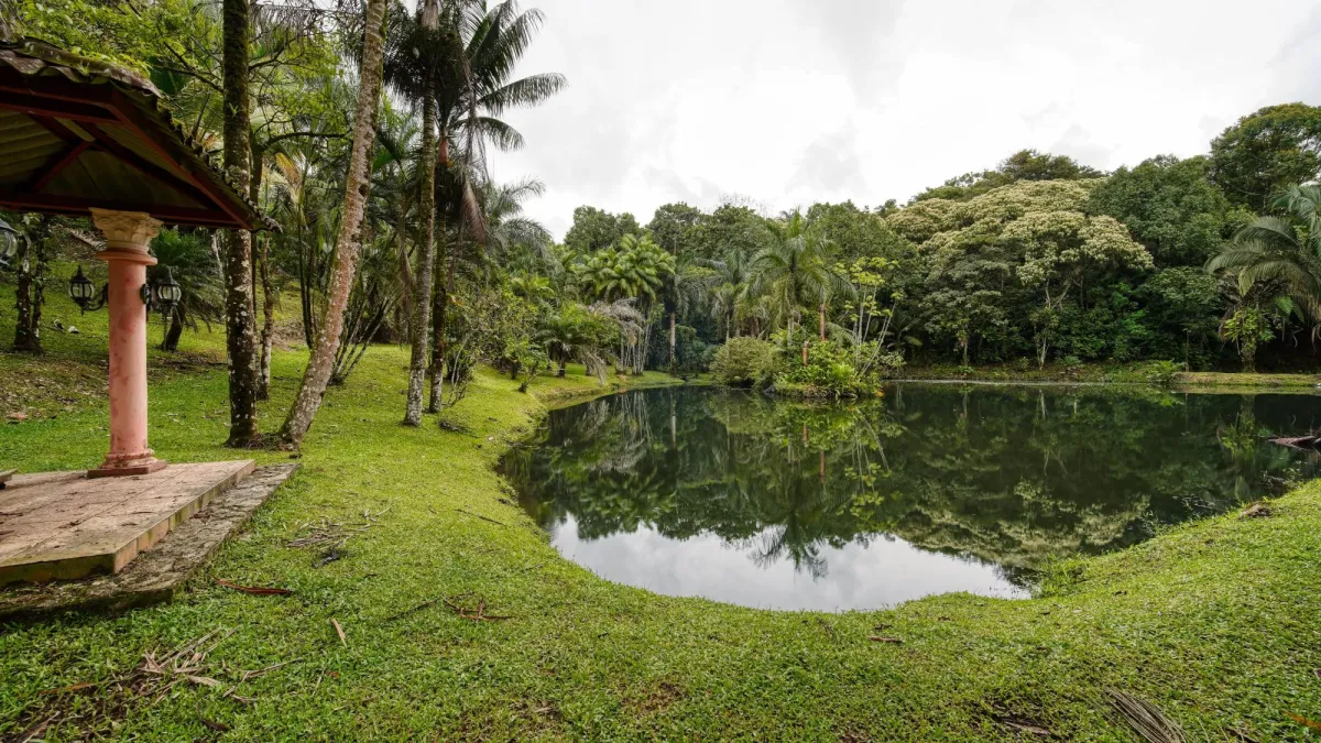 Finca residencial de 3,69 hectáreas con lagos, río y bosque.
