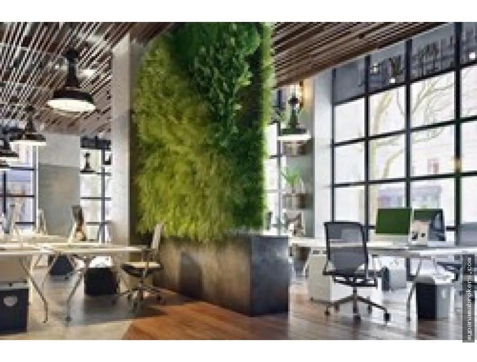 Office Rental in Torre Óptima, Obarrio, Panama