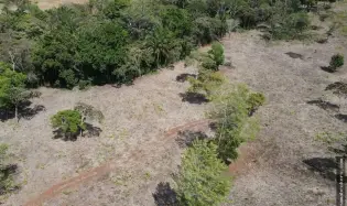 Venta de finca en Santa Rita, La Chorrera