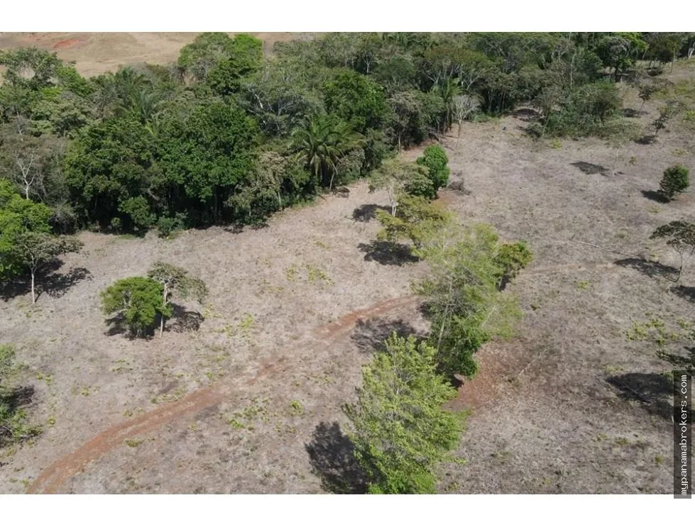 Venta de finca en Santa Rita, La Chorrera