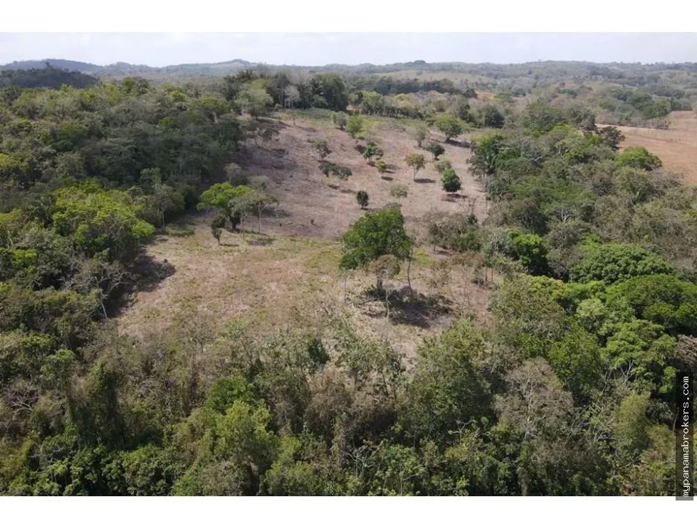 Venta de finca en Santa Rita, La Chorrera