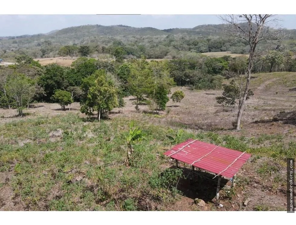 Venta de finca en Santa Rita, La Chorrera