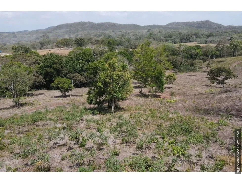 Venta de finca en Santa Rita, La Chorrera