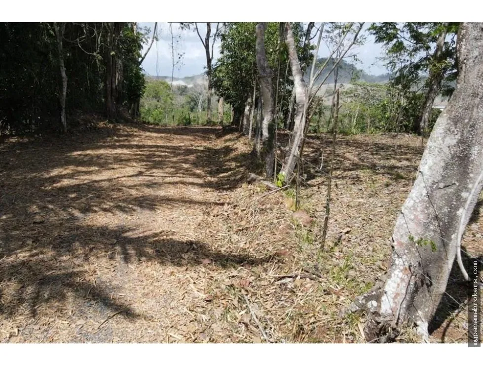 Venta de finca en Santa Rita, La Chorrera