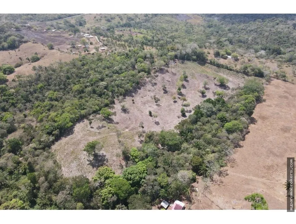 Venta de finca en Santa Rita, La Chorrera