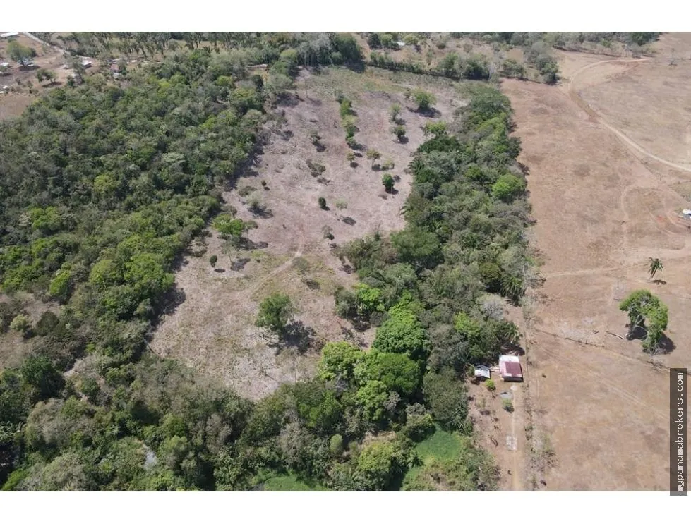 Venta de finca en Santa Rita, La Chorrera