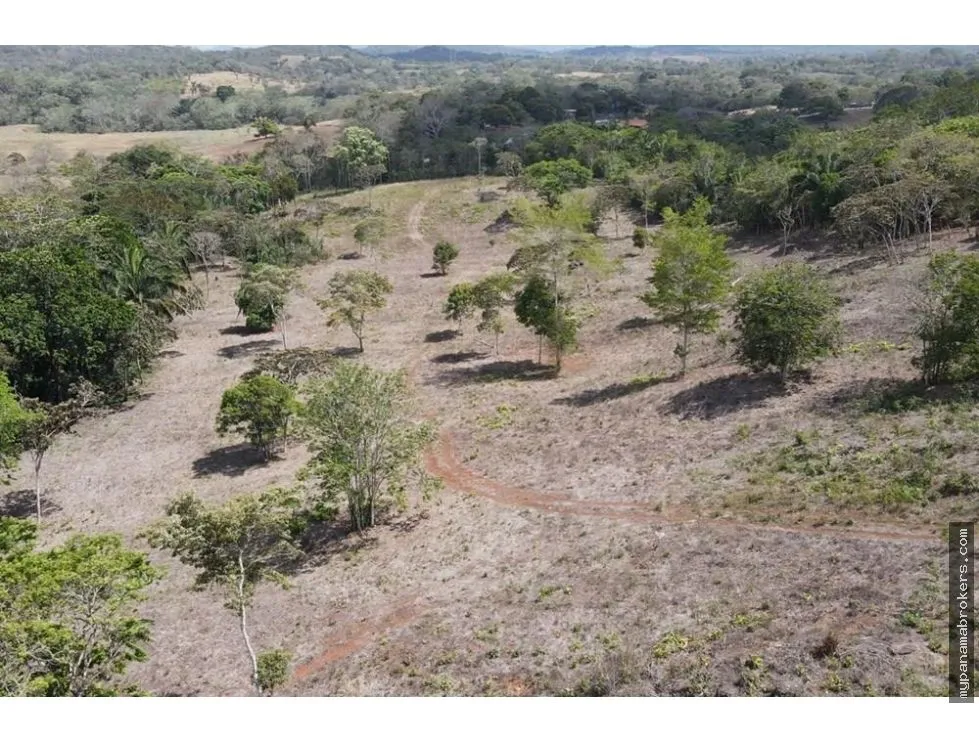 Venta de finca en Santa Rita, La Chorrera