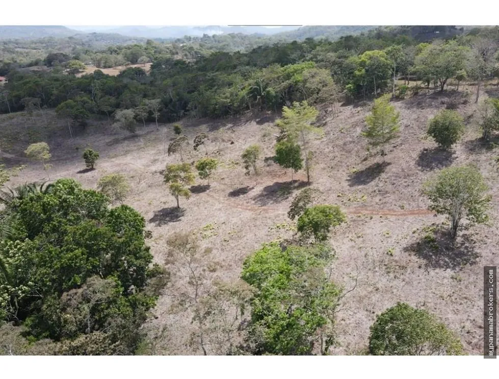 Venta de finca en Santa Rita, La Chorrera