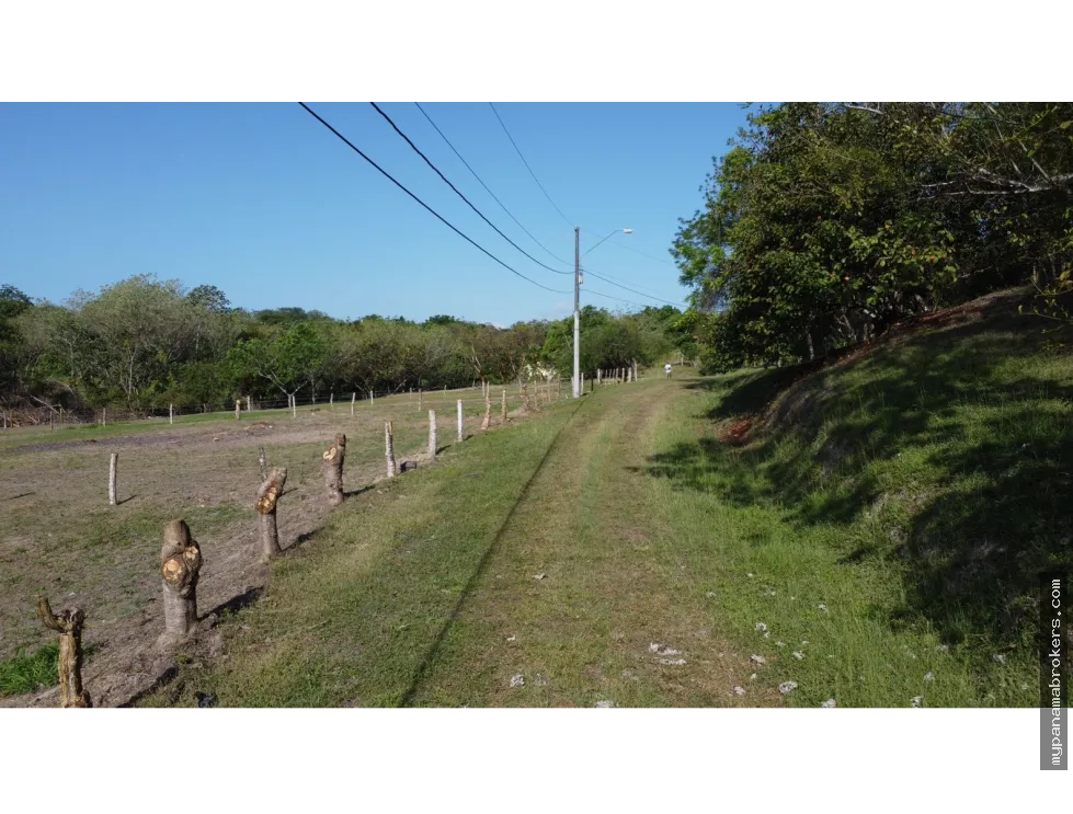 Land for Sale in La Hacienda La Florenciana, San Carlos