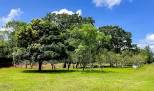 Land for Sale in Potrerillos Abajo, Dolega