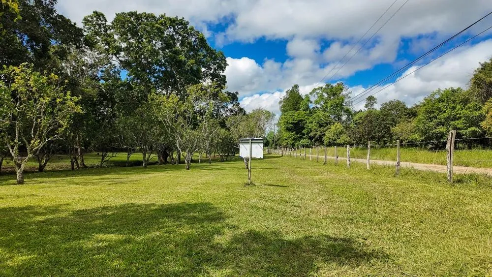 Land for Sale in Potrerillos Abajo, Dolega