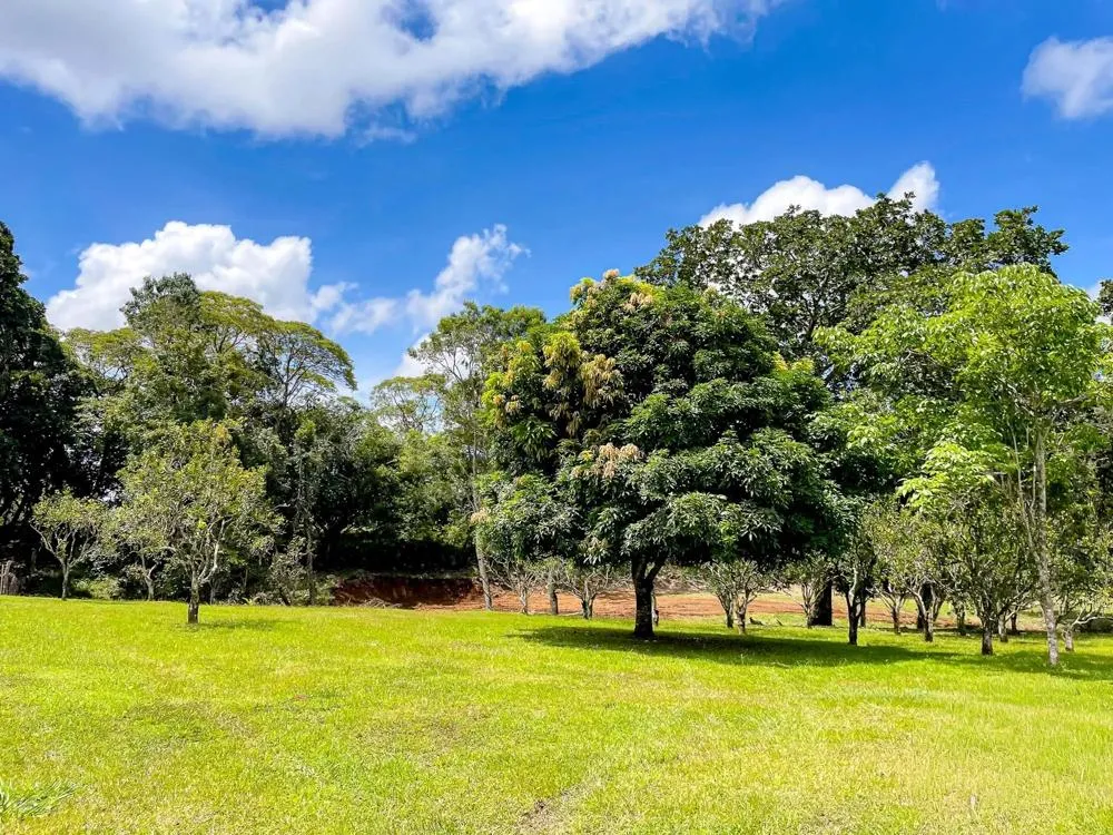Land for Sale in Potrerillos Abajo, Dolega