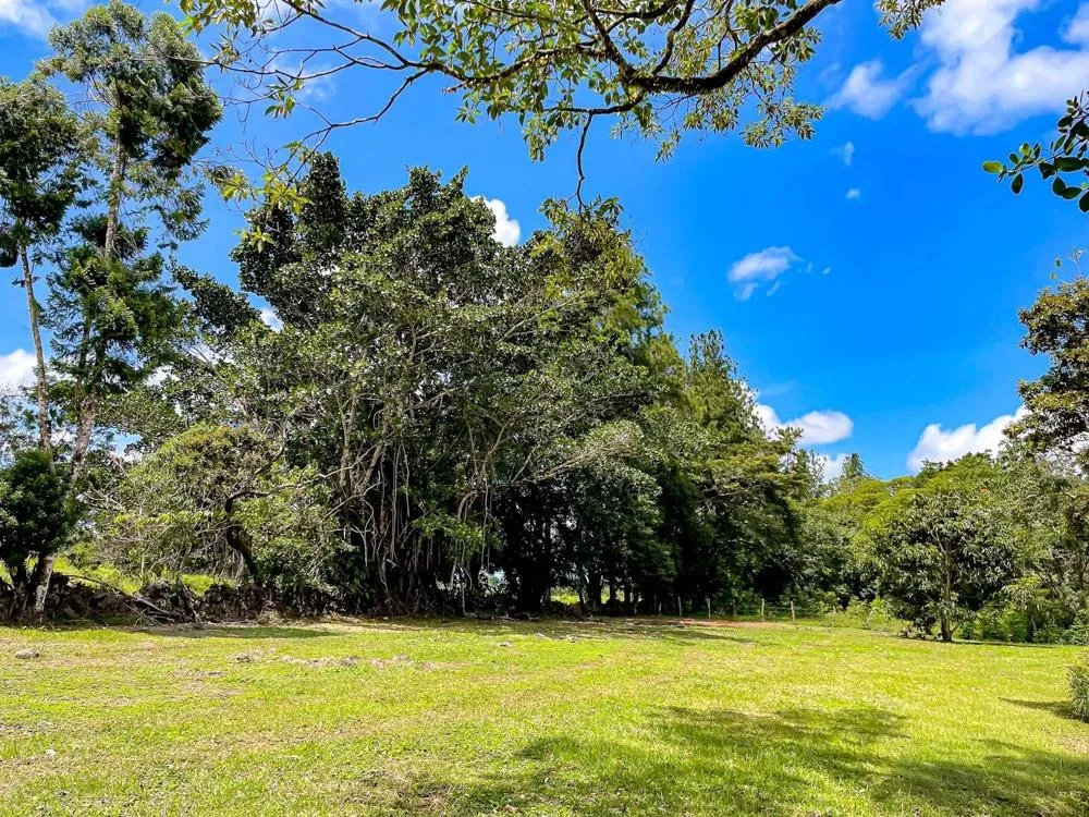 Land for Sale in Potrerillos Abajo, Dolega