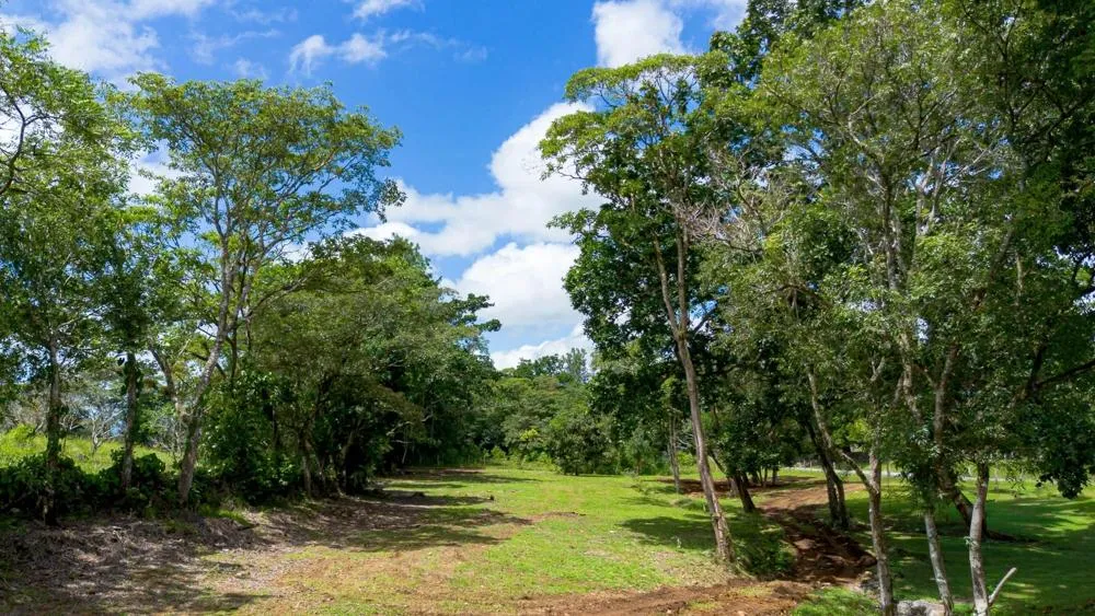 Land for Sale in Potrerillos Abajo, Dolega