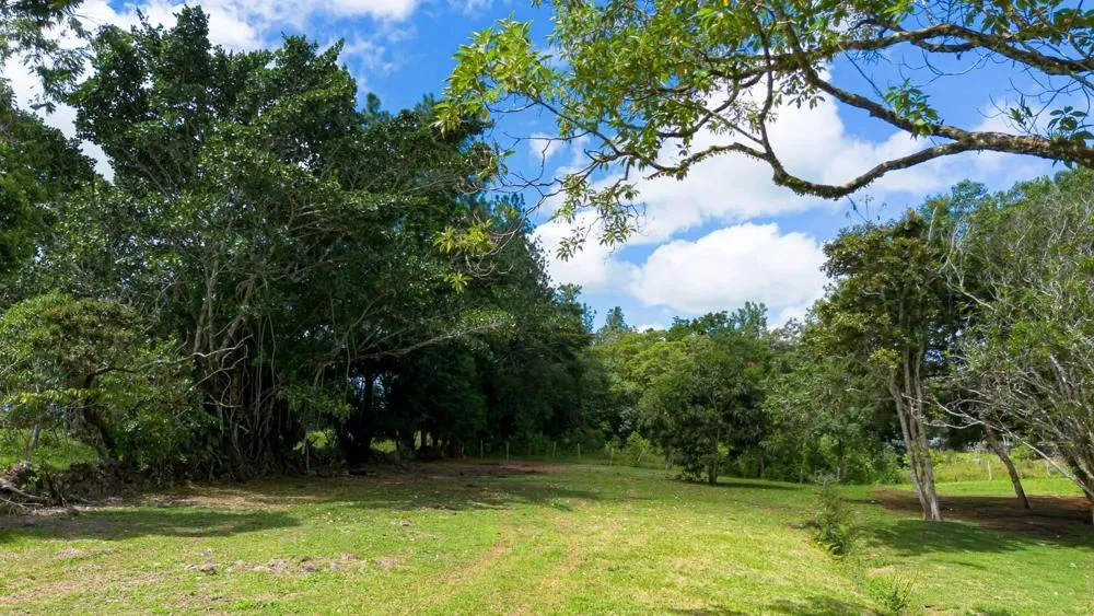 Land for Sale in Potrerillos Abajo, Dolega
