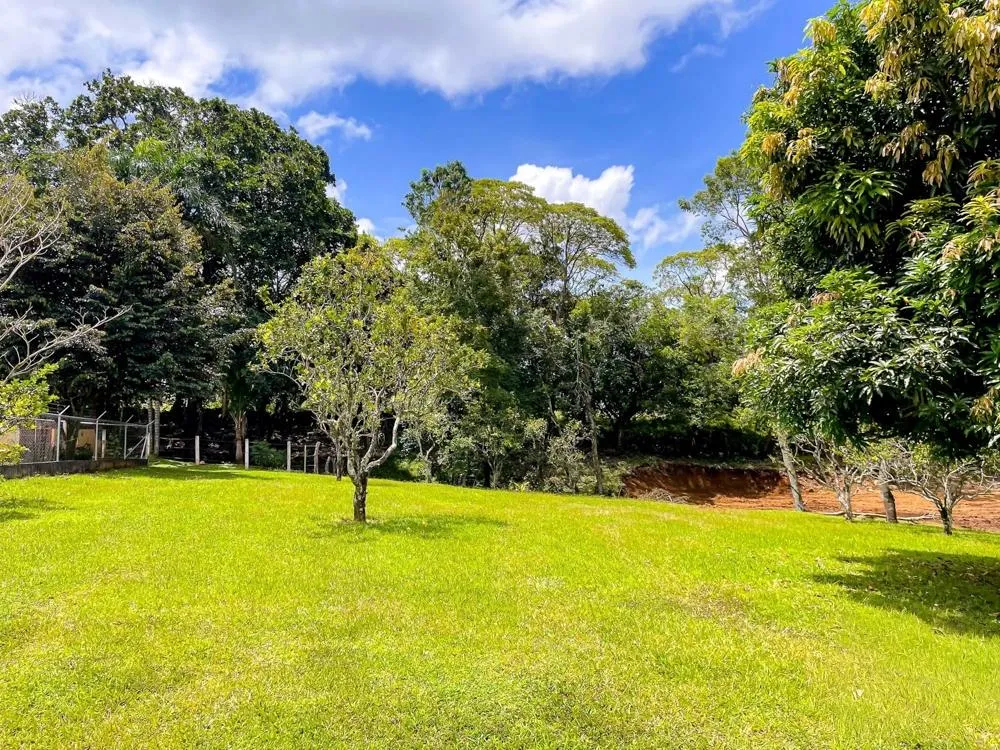 Land for Sale in Potrerillos Abajo, Dolega